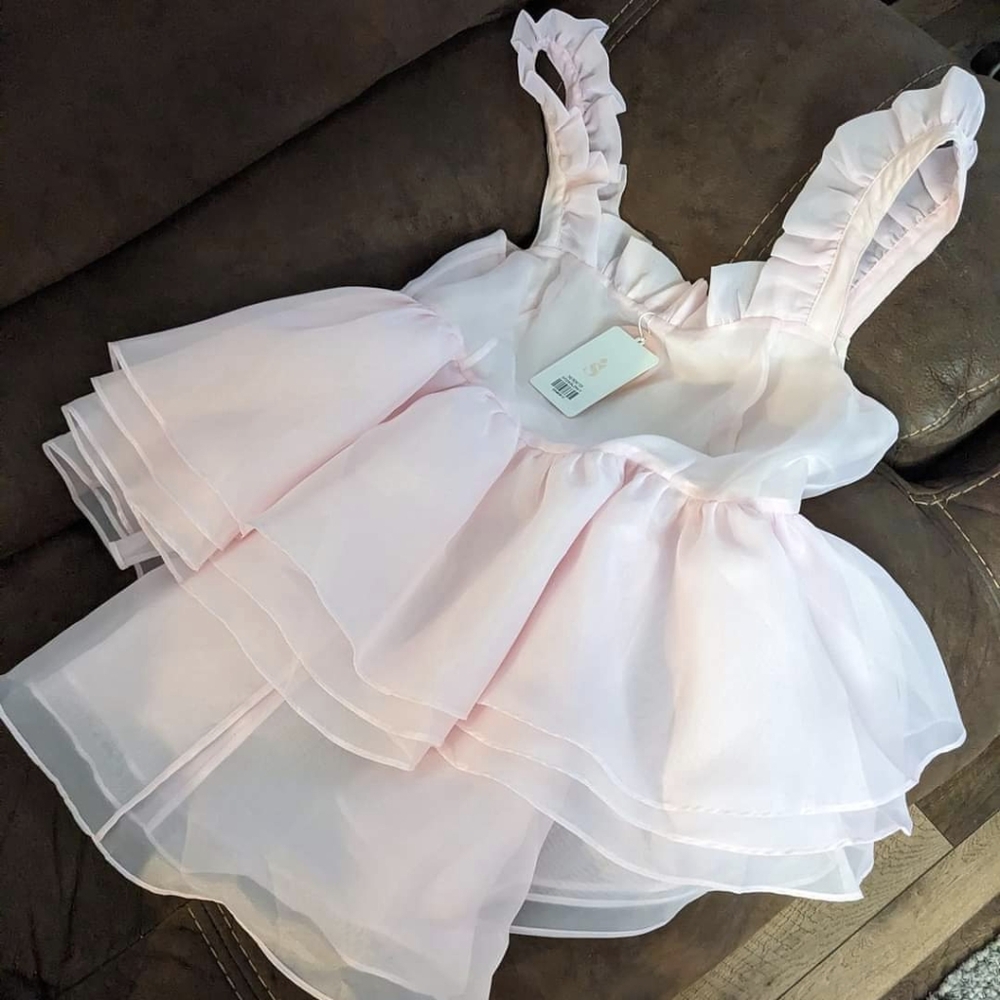 NWT 1X Ballerina Peony Top